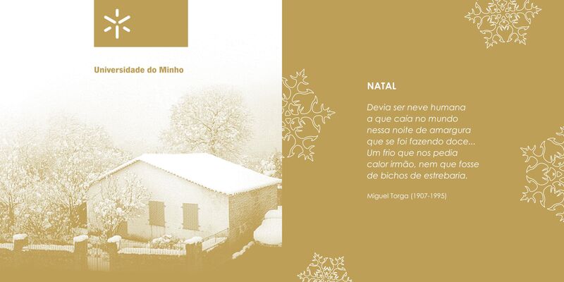  Postal de Natal 2007 