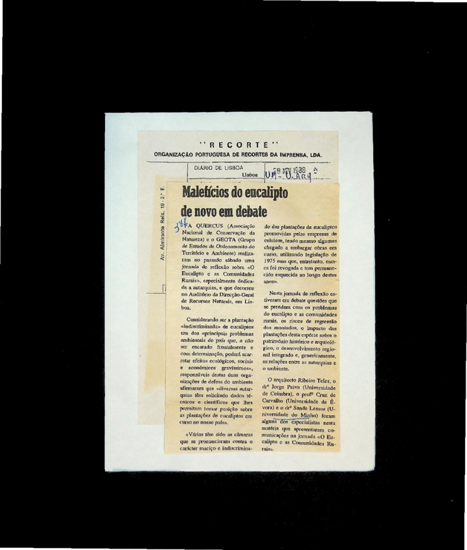  Malefícios do eucalipto de novo em debate 